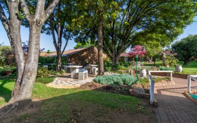 Summerfield Park Open Day 20th June 2025