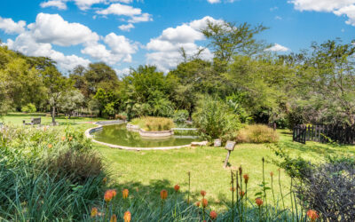 Arbor Village – PAWS 4 U Therapy Dogs