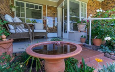 Summerfield Park Open Day 29 August 2025