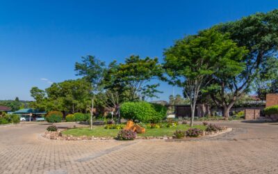 Summerfield Park Open Day 5 December 2025