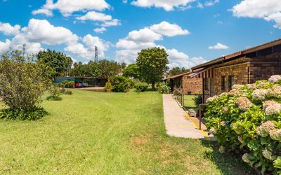 Arbor Village celebrates St Patrick’s Day